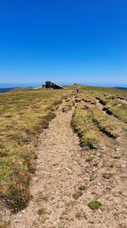 Photo de Anna Wilding le long du parcours