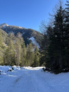 Fotografija s spletne strani L F na poti