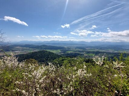 Fotografia z Mario Thomaschütz na trase