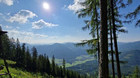 Foto fra EP87 underveis på turen