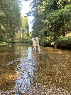 Foto von Andreas Wimmer 1 entlang der Tour