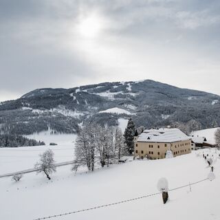 oberhalb des Schloss Höchs