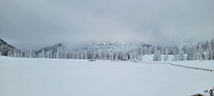 Foto von Nicky entlang der Tour
