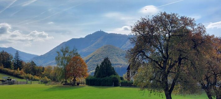 Photo de Waldfred le long du parcours