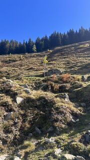 Fotografija s spletne strani Dominique Vlach na poti