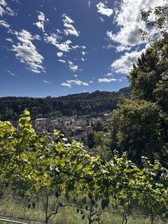 Fotografia z Cyrill Bischof na trase