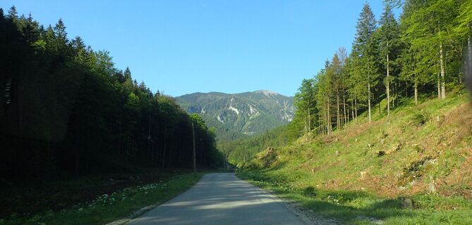 Anfahrt nach Hinternaßwald