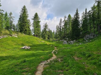 Foto von uhu321 entlang der Tour