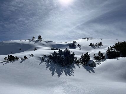 Fotografija s spletne strani Michael Spatt na poti