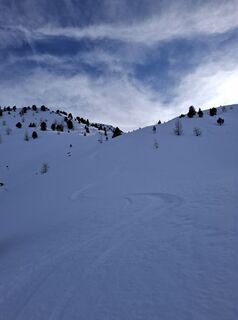 Photo de Magnus Moser le long du parcours
