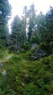 Tag1: am Hermann Hecht Weg