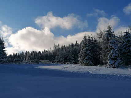 Sonnige Abschnitte im ehemaligen Schigebiet