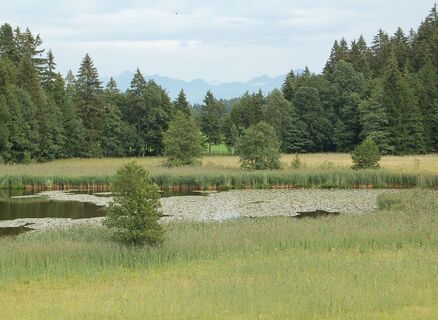 Der Rantscher Weiher