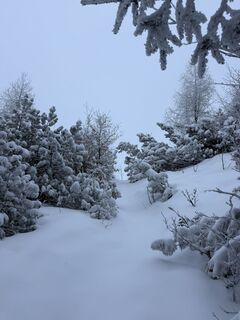 Rosenau am Hengstpaß, Oberösterreich/Österreich