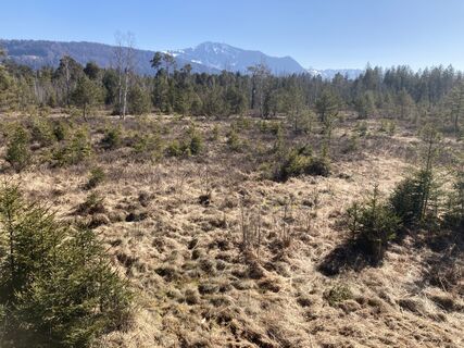 Foto von Jochen.Greim entlang der Tour