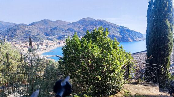 Fotografija s spletne strani Stefano Fabi na poti