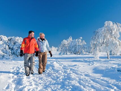 Winterwanderung im Schmallenberger Sauerland.