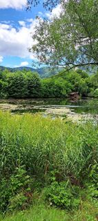 Foto de f.rabe a lo largo del recorrido