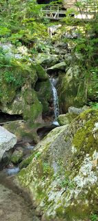 Foto da Nicky lungo il tour