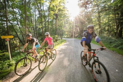 Rad fahren im kühlen Schatten der Bäume
