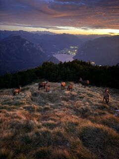 Fotografija s spletne strani Fabian Schillinger na poti