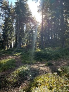 Photo de Denise Grossen le long du parcours