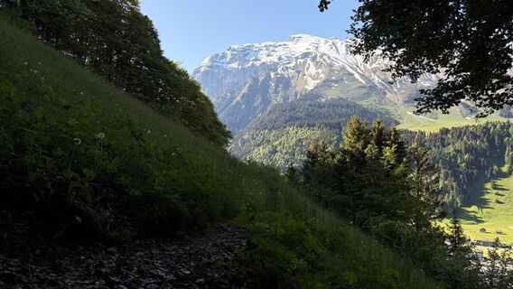 Foto von Boris Schickedanz entlang der Tour