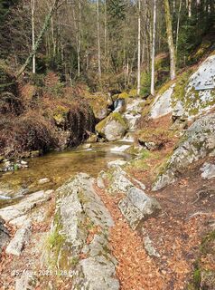 Foto fra Markus Bischof 3 undervejs på turen