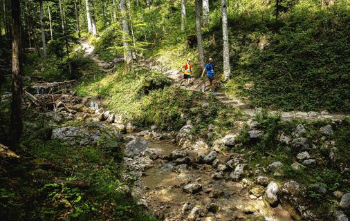 Scheffau_Rehbachklamm_Wanderweg_Sommer