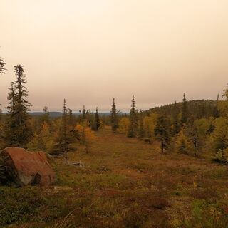 Landschaft Spätsommer in Salla