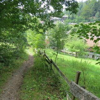 Pfad zu den Kapfenhardter Mühlen