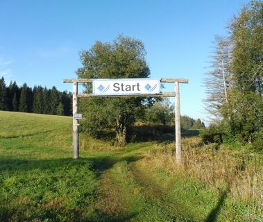 Start