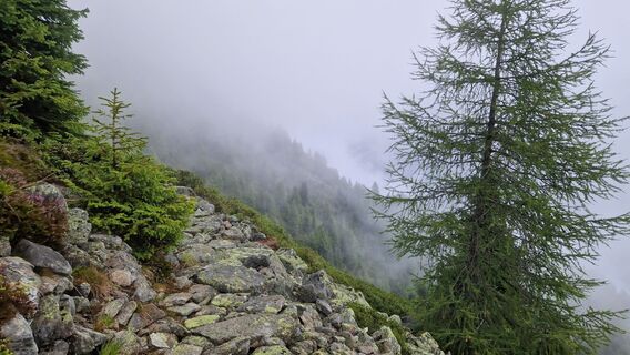 Wegstück am Querweg