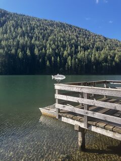 Fotografia z Jürgen Plischke na trase