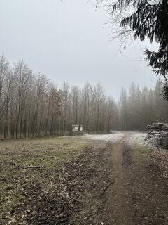 Fotografia z Babs Holz na trase