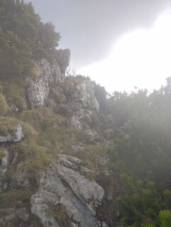 Fotografie z Andrej Meštrović na trase