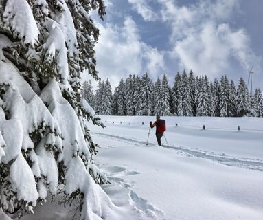 Die Wanderung führt eben über die Almflächen