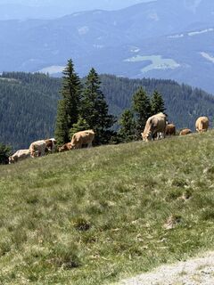 Foto von Marian Nizner entlang der Tour