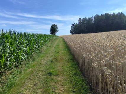 Foto von Edith K. entlang der Tour