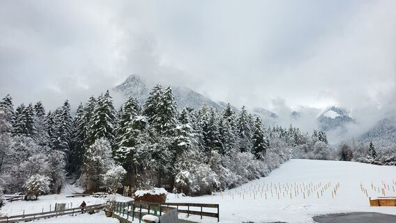 Foto fra Ursula Schmid underveis på turen