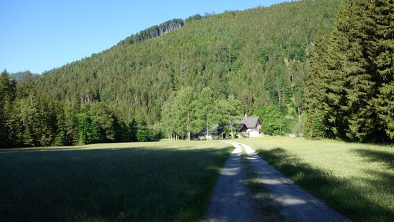 Blick zurück zum Forsthaus