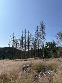 Fotografia z justasimpleguy na trase