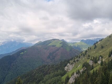 Fotografie z Grizli na trase