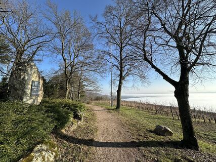 Fotografia z Andreas Mader na trase