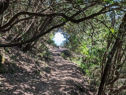 Foto von WolBo entlang der Tour