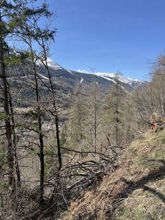 Foto von Fiorenzo Salvi entlang der Tour