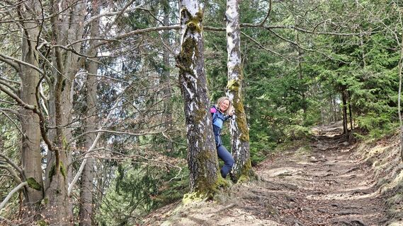 Abwechslungsreicher Wald