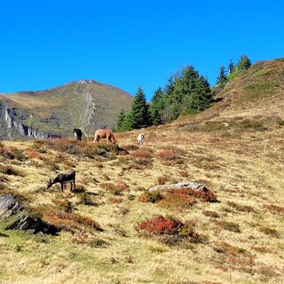 Foto de Brigitte Öttl a lo largo del recorrido