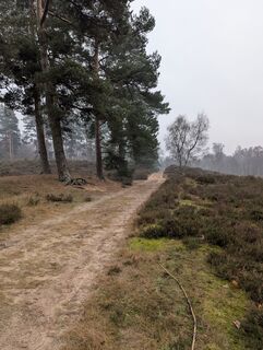 Foto de Matje Derks a lo largo del recorrido