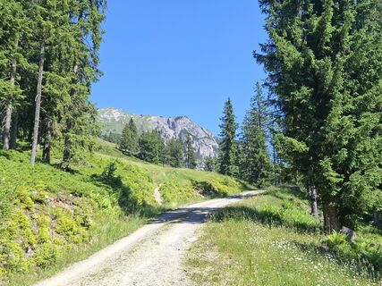 Foto von Michael Putz entlang der Tour